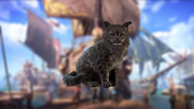 Pouvez vous toujours obtenir le leopard des neiges dans Skull and Pouvez vous toujours obtenir le leopard des neiges dans Skull and