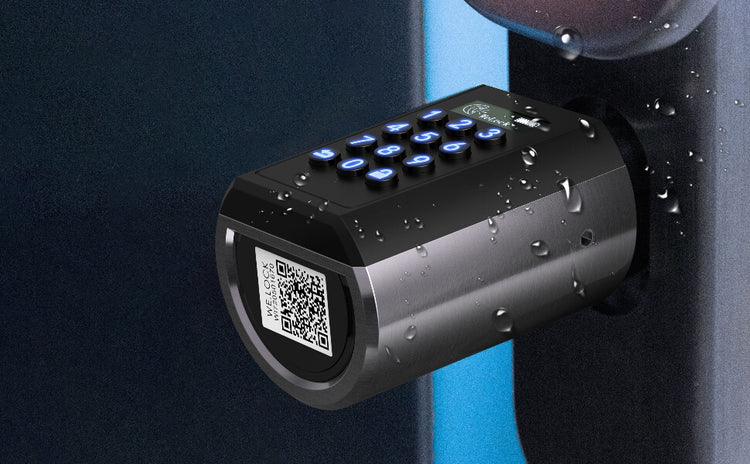 013 f70d824e 3824 4433 82c4 013 f70d824e 3824 4433 82c4