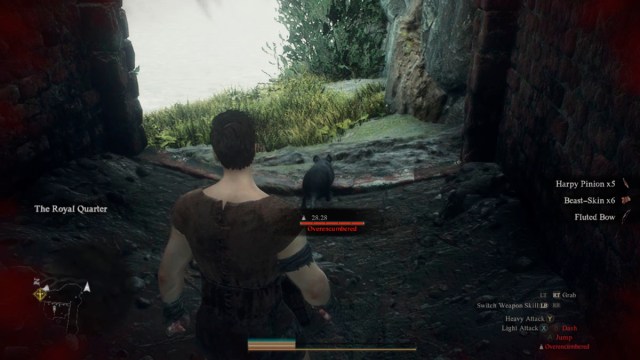 1711155137 687 Comment sortir de prison gratuitement dans Dragons Dogma 2 1711155137 687 Comment sortir de prison gratuitement dans Dragons Dogma 2