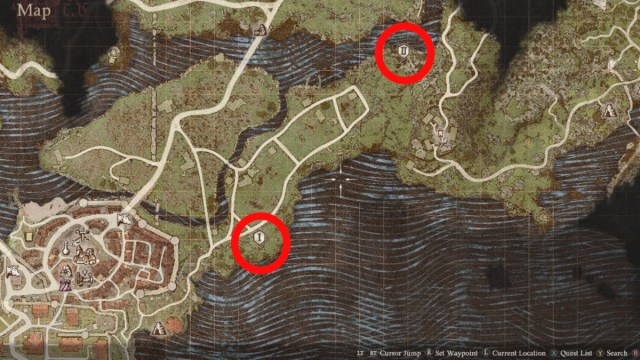 Comment cultiver des fleurs dans Dragons Dogma 2 Comment cultiver des fleurs dans Dragons Dogma 2