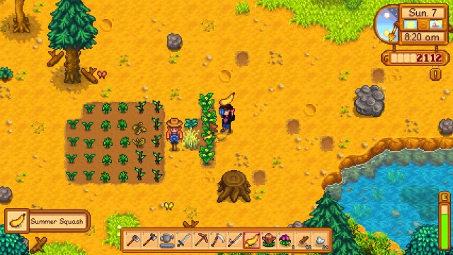 Comment faire pousser des courges dete dans Stardew Valley Mise Comment faire pousser des courges dete dans Stardew Valley Mise