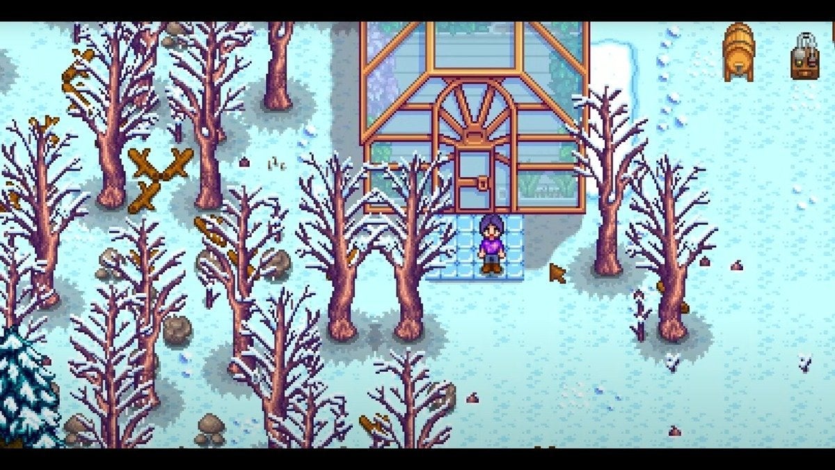 Comment faire pousser du melon en poudre dans Stardew Valley Hiver dans la vallée de Stardew