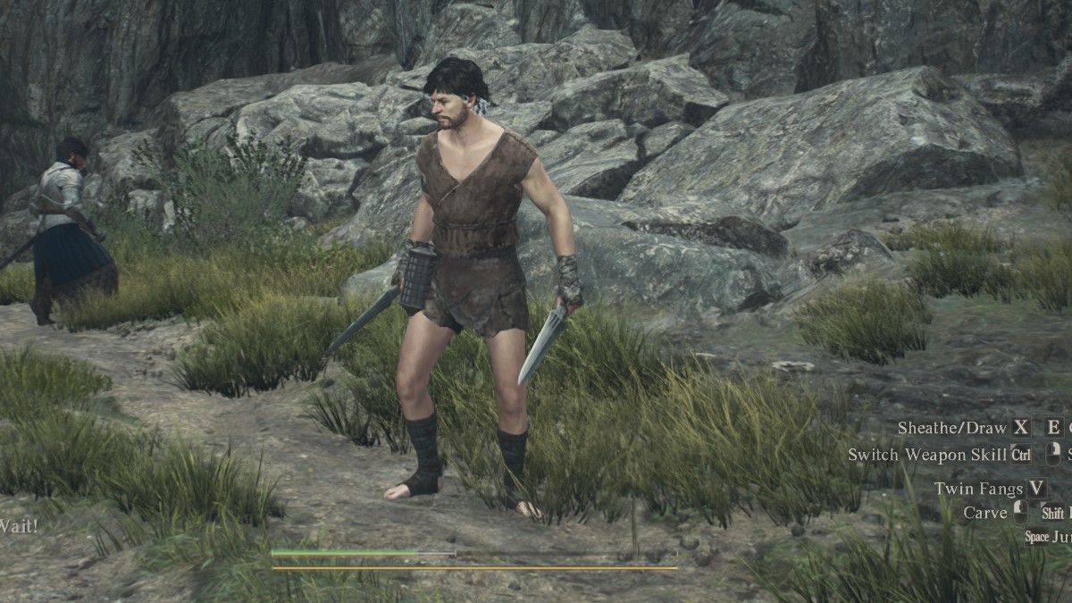 Comment remplir la jauge de perte dans Dragons Dogma 2 Dragon’s Dogma 2 Barre de santé et d’endurance