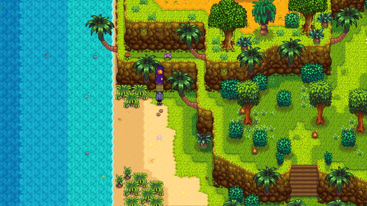 Comment obtenir des ames galactiques dans Stardew Valley Chambre Stardew Valley Walnut