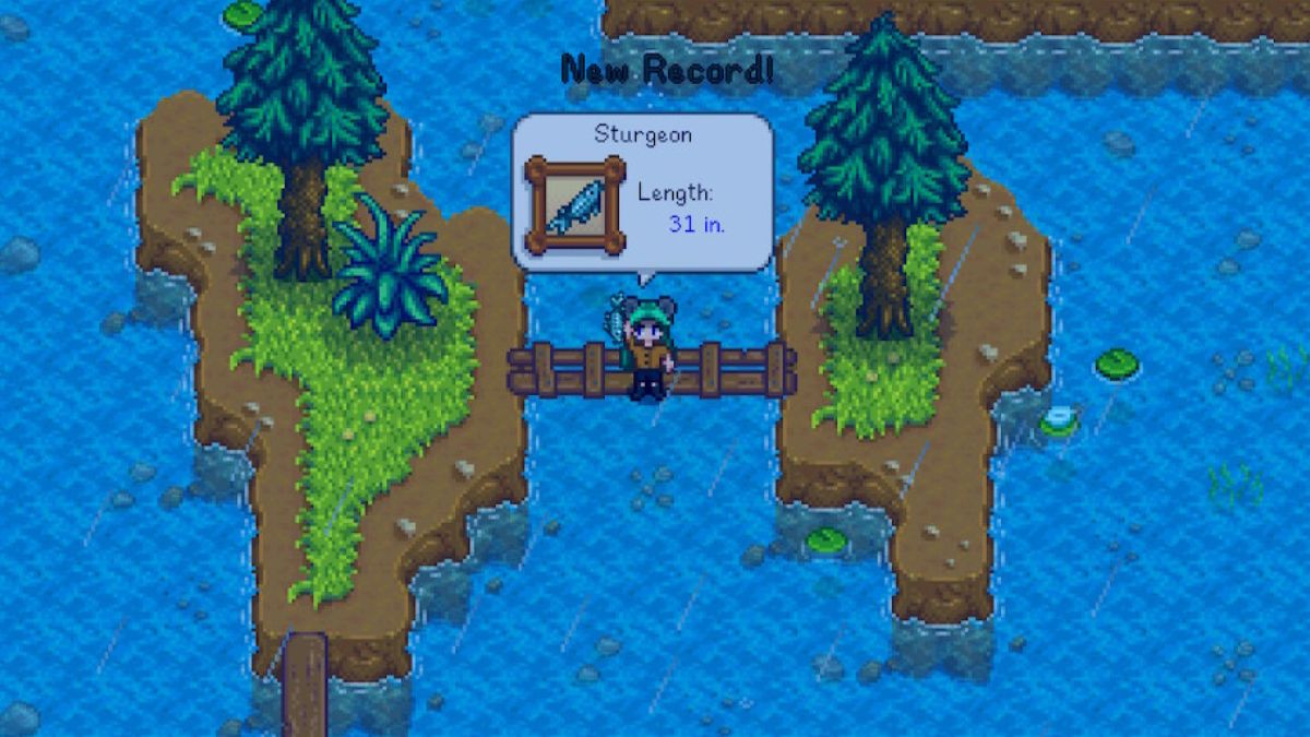 Comment attraper lesturgeon dans la Stardew Valley Stardew Valley Catch Sturgeon