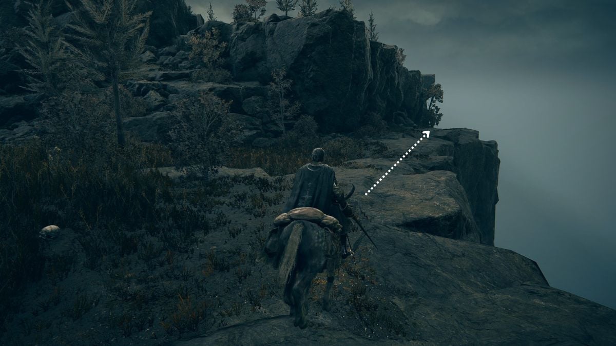 1719001910 162 Comment obtenir larme Pata dans Elden Ring Shadow of the Aller par ici