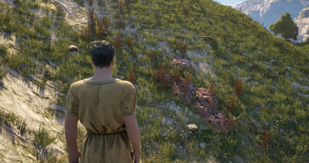 Ou trouver du lin a Pax Dei Pax Dei Colline du lin