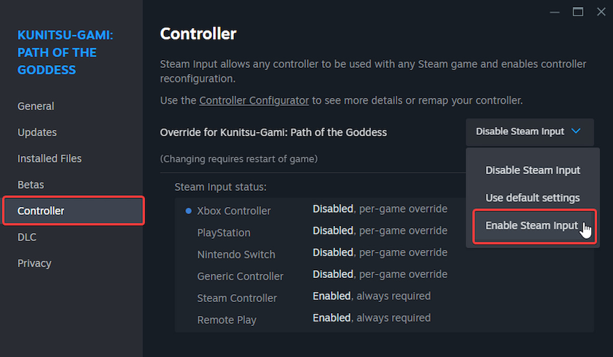1721405728 975 Comment resoudre les problemes de manette Kunitsu Gami Path of the Activer l’entrée Steam