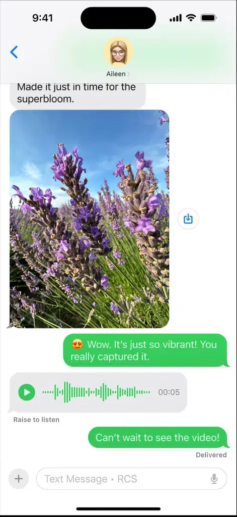 rcs ios 18 Message RCS