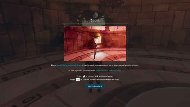 1723067662 871 Comment resoudre le puzzle de la sauge dans la jungle 1723067662 871 Comment resoudre le puzzle de la sauge dans la jungle