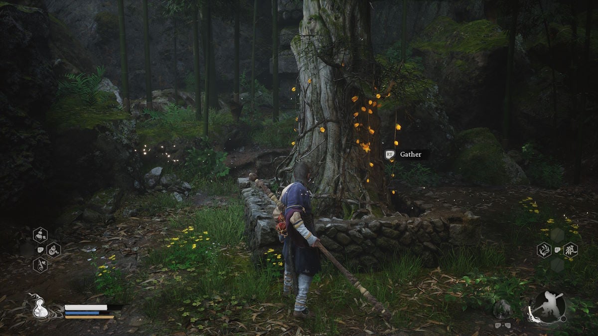 Comment obtenir la vigne parfumee Luojia dans Black Myth Wukong Black Myth Wukong Luojia Vigne parfumée