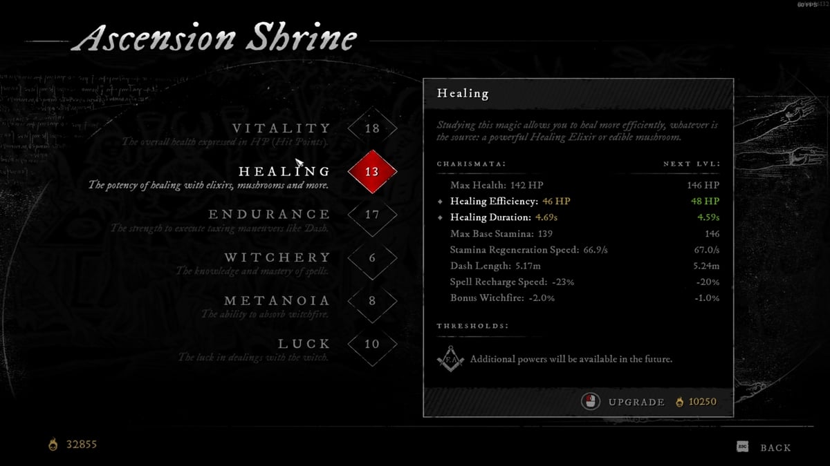 1729715480 921 Witchfire toutes les statistiques et ce quelles font Statistique de soins Feu de la sorcière