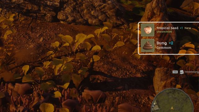 1732123534 218 Comment trouver du fumier dans les tours dAghasba 1732123534 218 Comment trouver du fumier dans les tours dAghasba