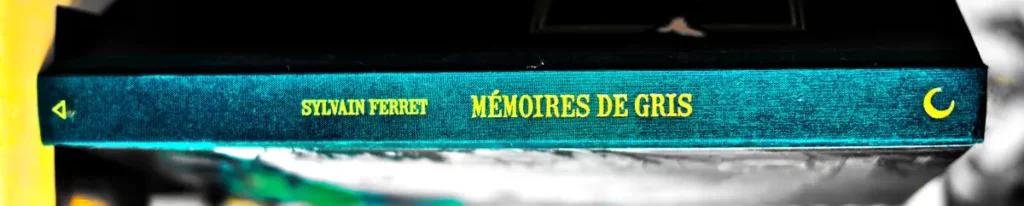 memoires de gris 2 Mémoires de Gris