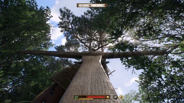 1738685190 234 Que faire des nids dans Kingdom Come Deliverance 2 1738685190 234 Que faire des nids dans Kingdom Come Deliverance 2