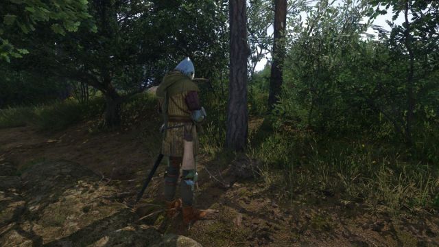 1738685190 847 Que faire des nids dans Kingdom Come Deliverance 2 1738685190 847 Que faire des nids dans Kingdom Come Deliverance 2