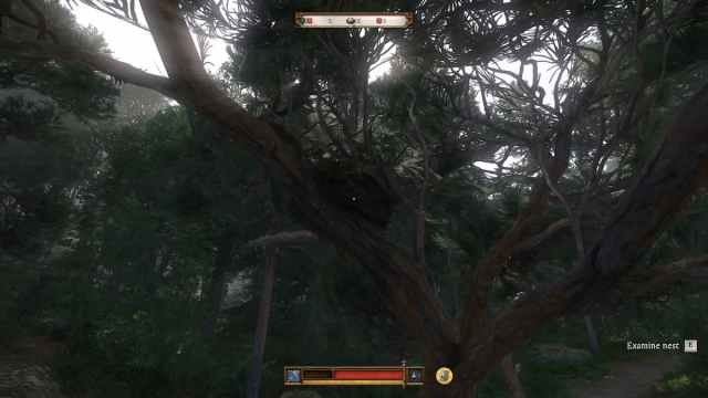 1738685190 860 Que faire des nids dans Kingdom Come Deliverance 2 1738685190 860 Que faire des nids dans Kingdom Come Deliverance 2