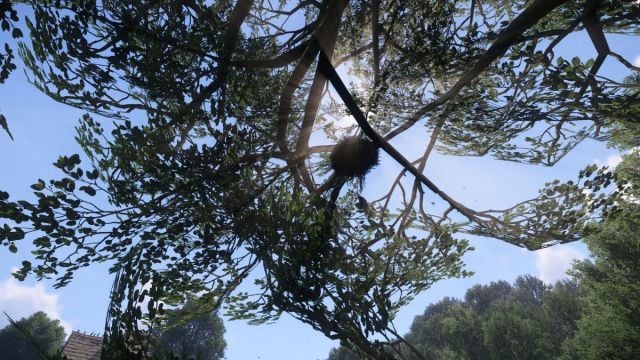 1738685190 913 Que faire des nids dans Kingdom Come Deliverance 2 1738685190 913 Que faire des nids dans Kingdom Come Deliverance 2