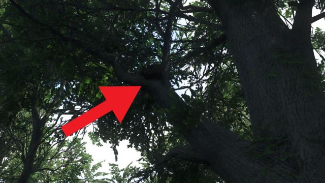 1739389807 702 7 meilleurs objets de debut de jeu et comment les 1739389807 702 7 meilleurs objets de debut de jeu et comment les