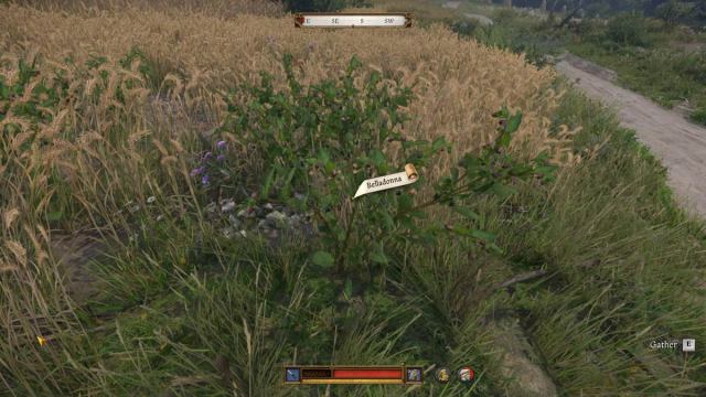1739644630 405 Comment obtenir Belladonna dans Kingdom Come Deliverance 2 1739644630 405 Comment obtenir Belladonna dans Kingdom Come Deliverance 2