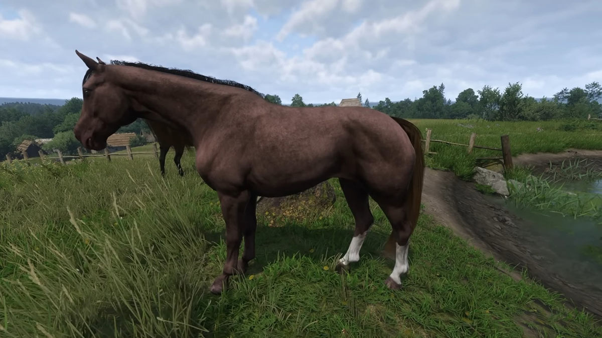 1739788393 939 8 meilleurs chevaux et comment les obtenir dans Kingdom Come Le hareng dans Kingdom Come Deliverance 2