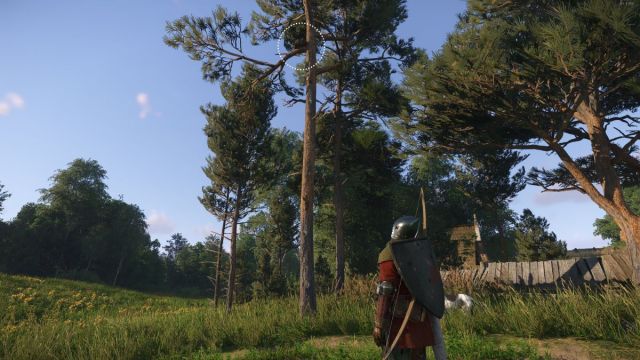 Que faire des nids dans Kingdom Come Deliverance 2 Que faire des nids dans Kingdom Come Deliverance 2