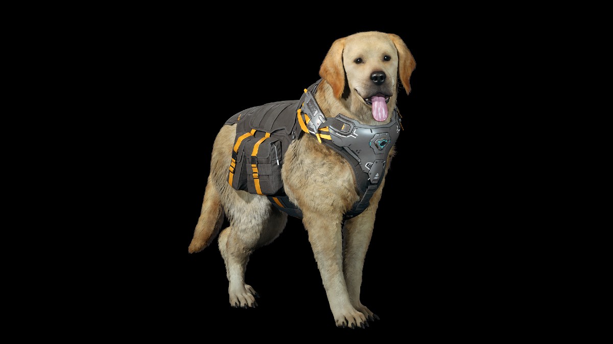Vêpres Chien De Chasse Le Premier Descendant