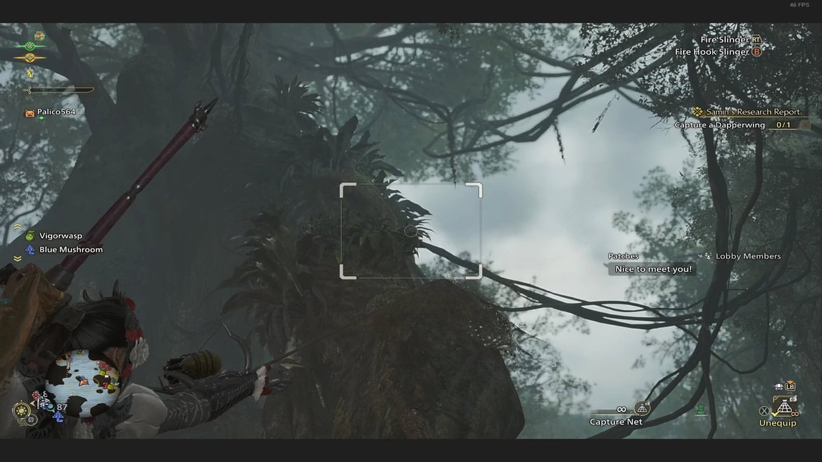 Ou trouver le Dapperwing dans Monster Hunter Wilds Attraper des ailes pimpantes à l’aide du filet de capture