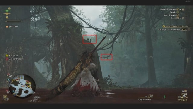 Ou trouver le Dapperwing dans Monster Hunter Wilds Ou trouver le Dapperwing dans Monster Hunter Wilds