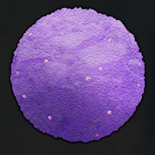 1750877071 250 Comment pecher a Palworld 1750877071 250 Comment pecher a Palworld