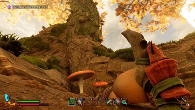 Comment obtenir des coquilles et des sommets de glands dans Comment obtenir des coquilles et des sommets de glands dans