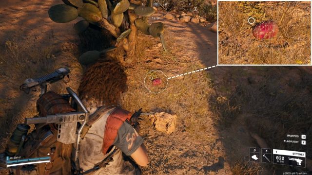 1762201098 185 Ou trouver des figues de barbarie dans ARC Raiders 1762201098 185 Ou trouver des figues de barbarie dans ARC Raiders