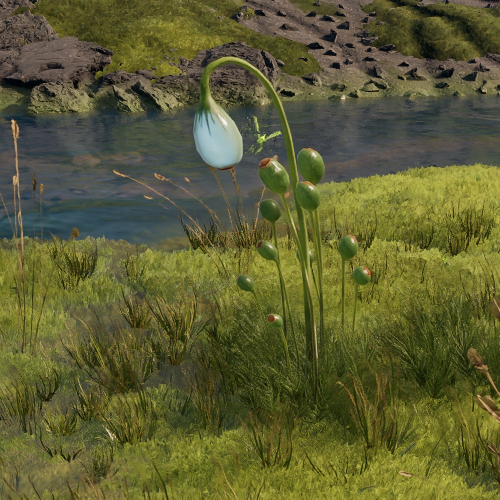 1767704450 776 Premieres sources de nourriture et deau dans StarRupture Hydrobulbe