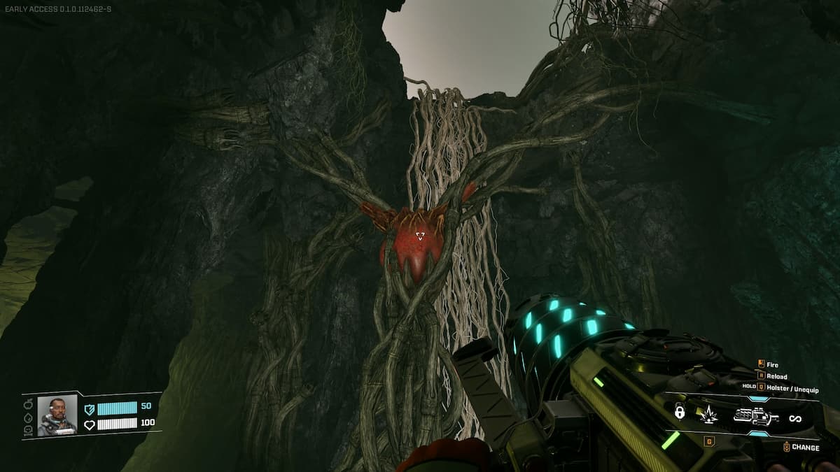 Les vignes détournent la grotte