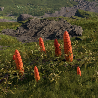 Premieres sources de nourriture et deau dans StarRupture Polifruit