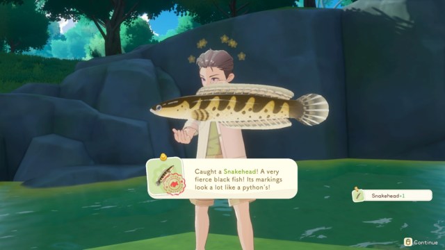 Liste complete des poissons et ou les trouver sur lile Liste complete des poissons et ou les trouver sur lile