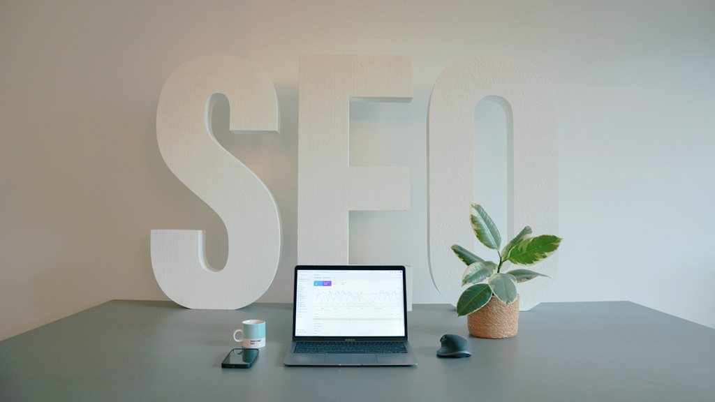 expertise seo expertise seo